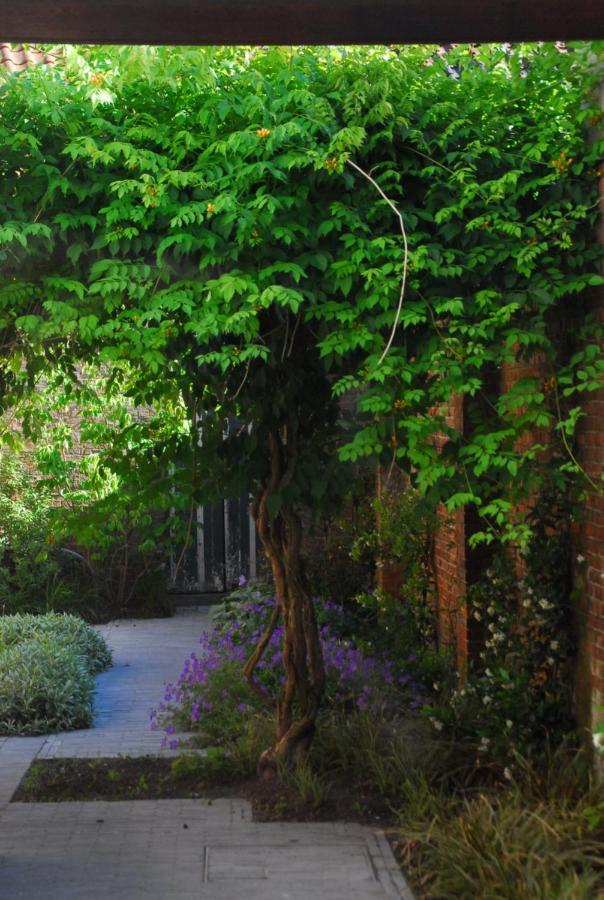 Nostra Signora Bed & Breakfast Bruges Luaran gambar